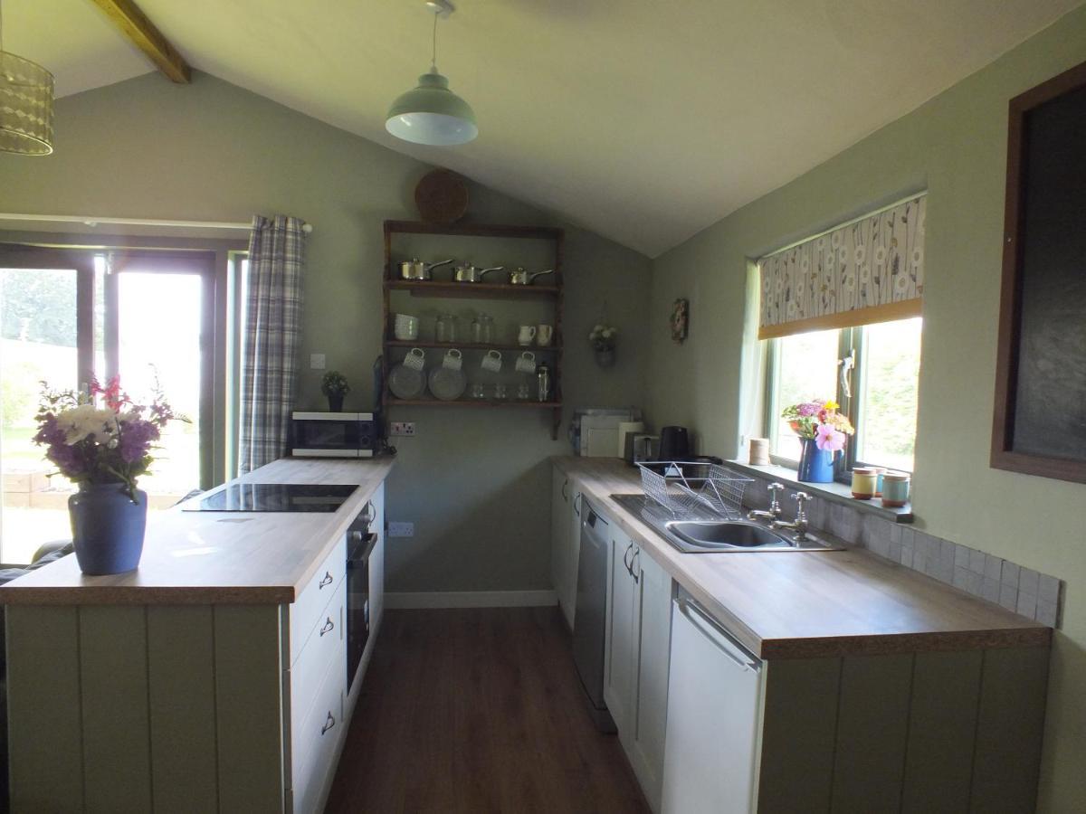 Vila The Potting Shed And The Garden Shed Self Catering Carmarthen Exteriér fotografie