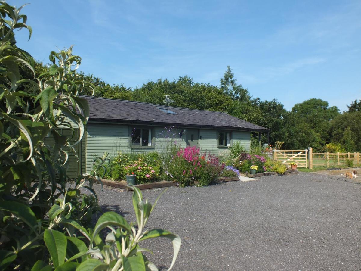 Vila The Potting Shed And The Garden Shed Self Catering Carmarthen Exteriér fotografie